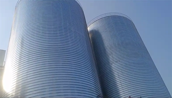 赤坎2座混凝土高架卷板仓